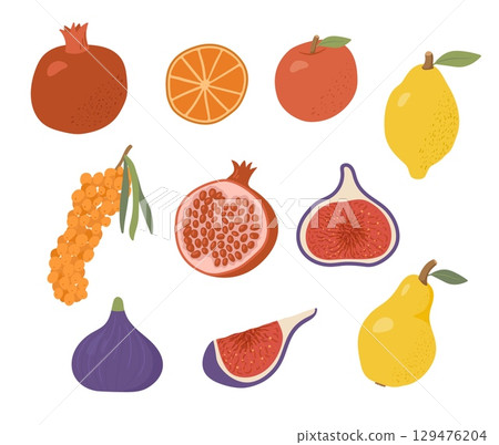 Set of cartoon organic farm fruits on white background. Autumn harvest of apple, lemon, pear, figs, garnet, berry. Flat vector illustration. 129476204