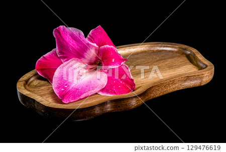 A vibrant pink gladiolus flower on a wooden tray A vibrant pink gladiolus flower on a wooden tray 129476619