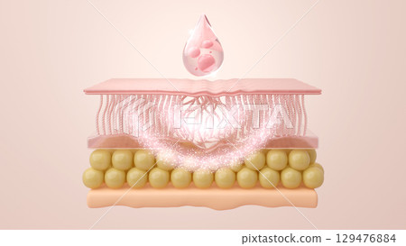 將外泌體和幹細胞輸送至皮膚深層的膠囊技術。皮膚再生的CG影像。 將外泌體和幹細胞輸送至皮膚深層的膠囊技術。皮膚再生的CG影像。 129476884