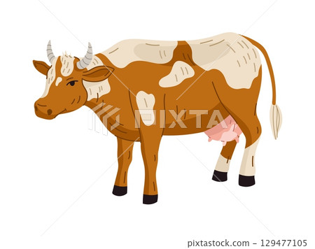 Dairy cow character with horns, brown and white spotted skin representing farm animals and agricultural life. Isolated cartoon flat vector domestic cattle, livestock creature for husbandry and farming 129477105