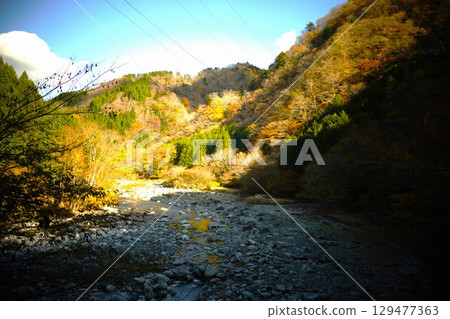 Autumn leaves and shallow river 129477363
