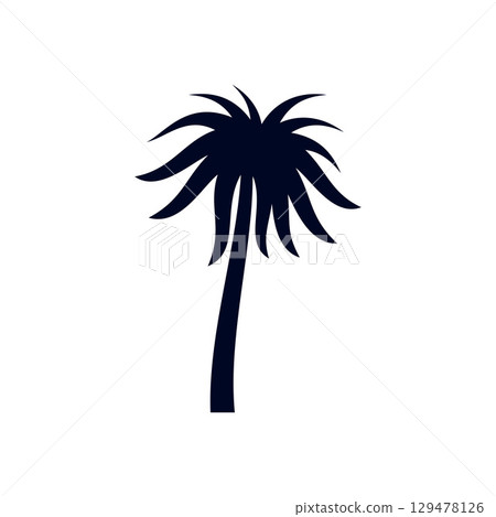 Tropical Palm Tree Tropical Palm Tree 129478126
