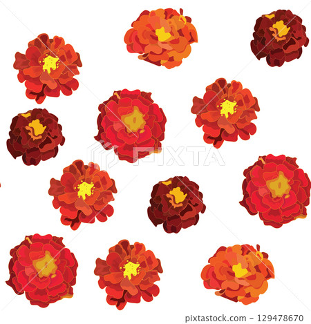 Marigold flowers. Seamless pattern. Vector illustration. 129478670