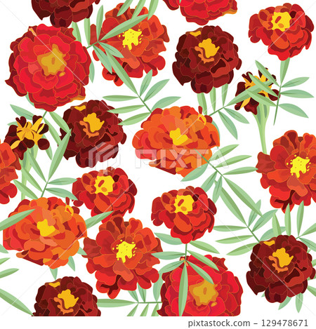 Marigold flowers. Seamless pattern. Vector illustration. 129478671