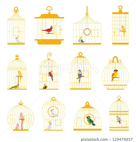 Birds in cages. Cartoon bird in golden cage, decorative different animals. Parrots cockatoo cardinal, exotic flying characters classy vector set 129478857