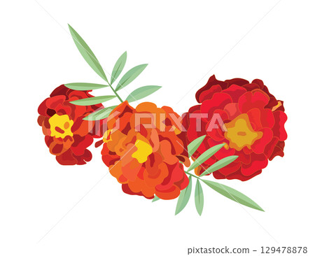 Three orange marigold flowers. Vector illustration. Three orange marigold flowers. Vector illustration. 129478878