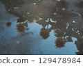 Sunflowers and the sky after the rain reflected in a puddle 129478984