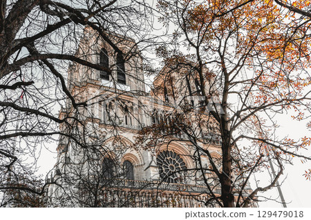 Notre Dame de Paris Cathedral, Catholic Church in Paris, France 129479018