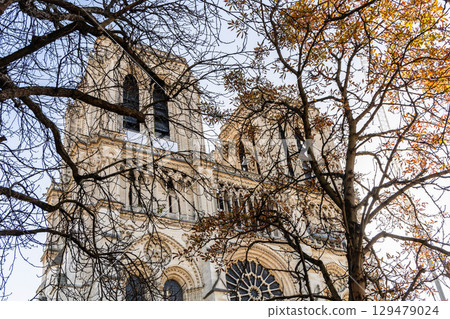 Notre Dame de Paris Cathedral, Catholic Church in Paris, France 129479024
