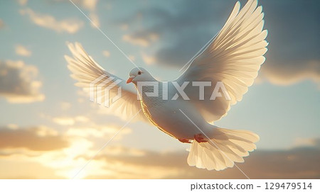 A Serene White Dove Soaring Gracefully Against the Sky 129479514
