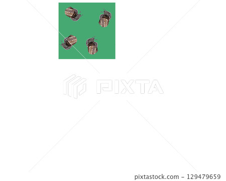Snail close-up in realistic style. Seamless pattern. Vector illustration. Snail close-up in realistic style. Seamless pattern. Vector illustration. 129479659