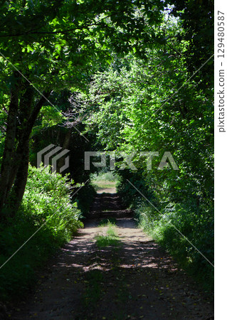 Nature in summer in the French region of Ardeche Nature in summer in the French region of Ardeche 129480587