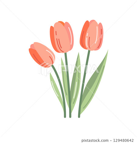 Cute Hand Drawn Tulip Flowers Vector Illustration in Flat Style Cute Hand Drawn Tulip Flowers Vector Illustration in Flat Style 129480642