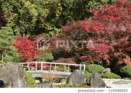近海光明寺 北條庭園 紫雲庭園（京都市左京區） 129480685