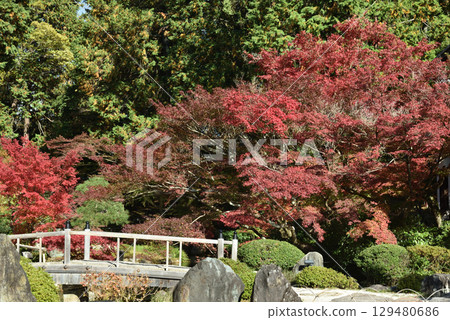 近海光明寺 北條庭園 紫雲庭園(京都市左京區) 近海光明寺 北條庭園 紫雲庭園(京都市左京區) 129480686