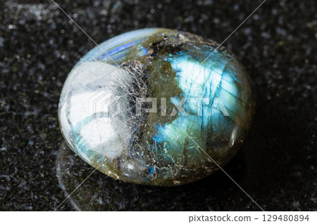 sample of polished labradorite mineral on black sample of polished labradorite mineral on black 129480894