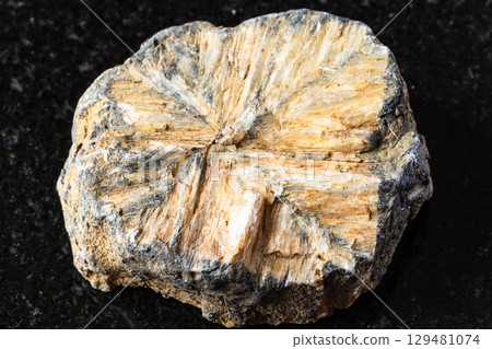 sample of raw chiastolite mineral on black granite 129481074