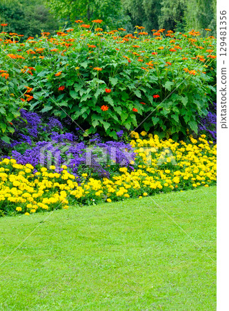 Beautiful garden with a flowerbed. 129481356