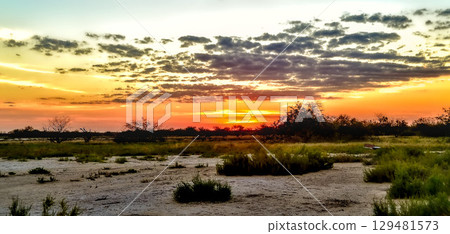 view of the Paraguayan Chaco 129481573