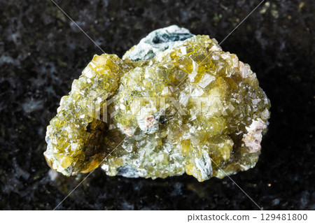 druse of topazolite andradite crystals on black druse of topazolite andradite crystals on black 129481800