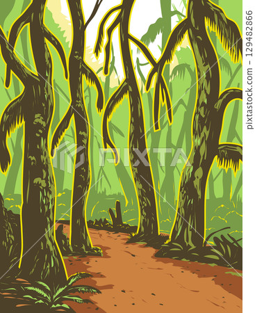 Hoh Rainforest in Olympic National Park Washington State USA WPA Ukiyo-e 129482866