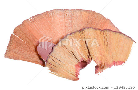 Close-up of two spiral shavings from a sharpened colored pencil. Isolated background Close-up of two spiral shavings from a sharpened colored pencil. Isolated background 129483150