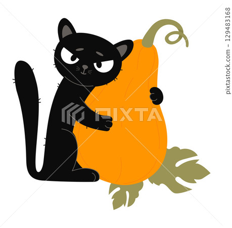Cute Black Cat With Orange big Pumpkin. Autumn Funny Pet character on White Background. Vector illustration. Not AI 129483168