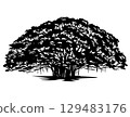 Banyan Tree or Ficus Benghalensis Retro Woodcut 129483176