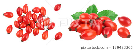 Rose hip isolated on a white background with full depth of field. Top view. Flat lay. 129483305