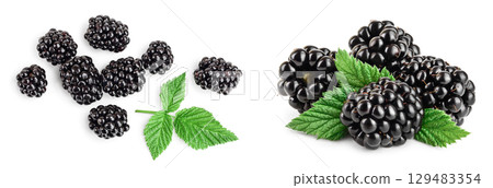 Fresh blackberry with leaves isolated on white background. Top view. Flat lay pattern Fresh blackberry with leaves isolated on white background. Top view. Flat lay pattern 129483354