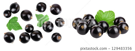 black currant with leaf isolated on white background. Top view. Flat lay pattern. With space for your text 129483356