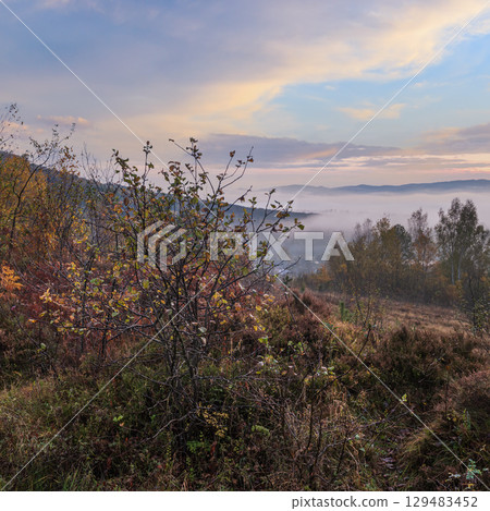 Cloudy and foggy early morning autumn meadow scene. Peaceful picturesque traveling, seasonal, nature and countryside beauty concept scene. Carpathian Mountains, Ukraine. Cloudy and foggy early morning autumn meadow scene. Peaceful picturesque traveling, seasonal, nature and countryside beauty concept scene. Carpathian Mountains, Ukraine. 129483452