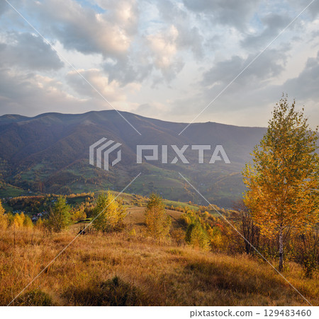 Autumn morning Carpathian Mountains calm picturesque scene, Ukraine. Peaceful traveling, seasonal, nature and countryside beauty concept scene. 129483460