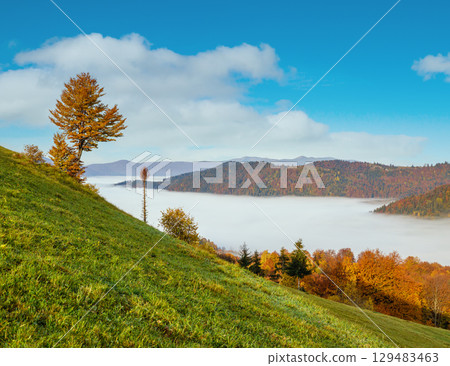 Morning foggy clouds in autumn mountain countryside.  Ukraine, Carpathian Mountains, Transcarpathia. 129483463
