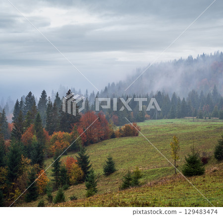 Cloudy and foggy autumn mountains scene. Peaceful picturesque traveling, seasonal, nature and countryside beauty concept scene. Carpathian Mountains, Ukraine. 129483474