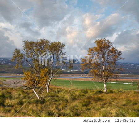 Beautiful mountain view during auto trip in North Iceland. Spectacular Icelandic landscape with  scenic nature: mountains, fields, clouds, glaciers, rocks, groves. 129483485