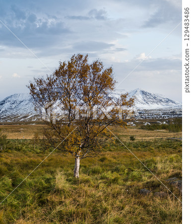 Beautiful mountain view during auto trip in North Iceland. Spectacular Icelandic landscape with  scenic nature: mountains, fields, clouds, glaciers, rocks, groves. 129483486