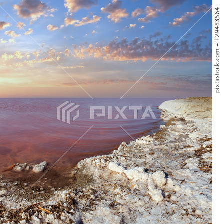 Pink salty Syvash Lake, Ukraine 129483564