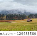 Autumnal flowers on meadow near alpine lake Geroldee or Wagenbruchsee, Bavaria, Germany 129483580