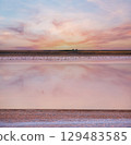 Seagulls on sunset Genichesk pink  salty lake, Ukraine 129483585