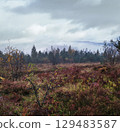 Cloudy and foggy early morning autumn meadow scene. Peaceful picturesque traveling, seasonal, nature and countryside beauty concept scene. Carpathian Mountains, Ukraine. 129483587