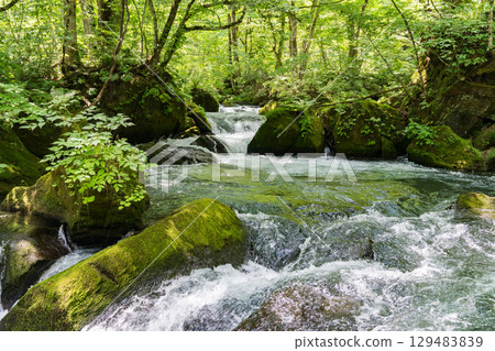 Oirase stream of summer Oirase stream of summer 129483839