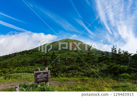 A hiking trail on Mt. Hakkoda in Aomori on a clear summer day 129483915