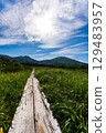 A hiking trail on Mt. Hakkoda in Aomori on a clear summer day 129483957
