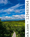 A hiking trail on Mt. Hakkoda in Aomori on a clear summer day 129483964