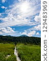 A hiking trail on Mt. Hakkoda in Aomori on a clear summer day 129483969