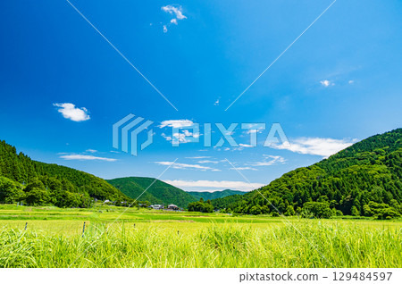 The tranquil rural scenery of Makino, Takashima City, Shiga Prefecture The tranquil rural scenery of Makino, Takashima City, Shiga Prefecture 129484597