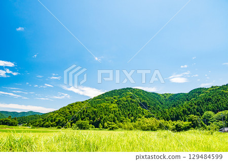 The tranquil rural scenery of Makino, Takashima City, Shiga Prefecture The tranquil rural scenery of Makino, Takashima City, Shiga Prefecture 129484599