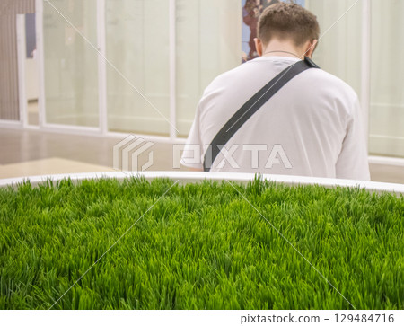 Rear view of a young man in a white T-shirt, leaning his head forward 129484716