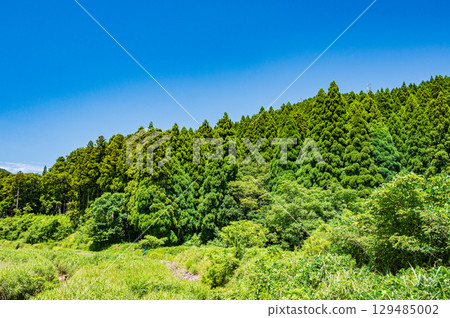 Makino Town forest scenery, Takashima City, Shiga Prefecture 129485002